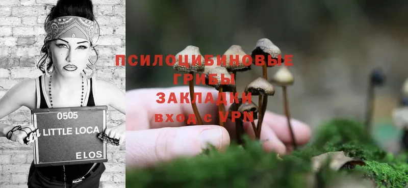 Псилоцибиновые грибы Magic Shrooms  Омск 